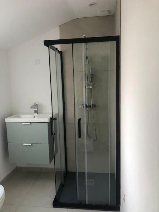 Appartement Cosy-Grand Stade Villeneuve D'Ascq Lezennes Eksteriør bilde